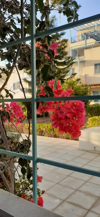 Pelagos Hill Apartment Paphos Luaran gambar
